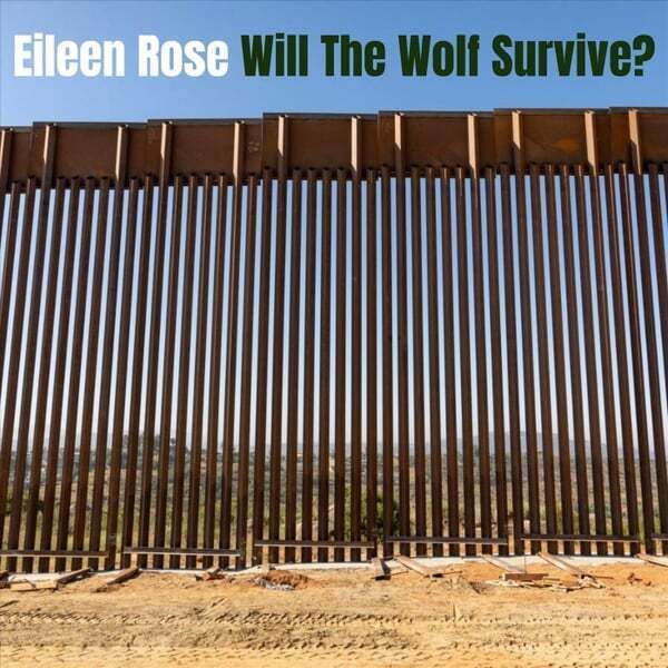 Cover art for Will the Wolf Survive ?